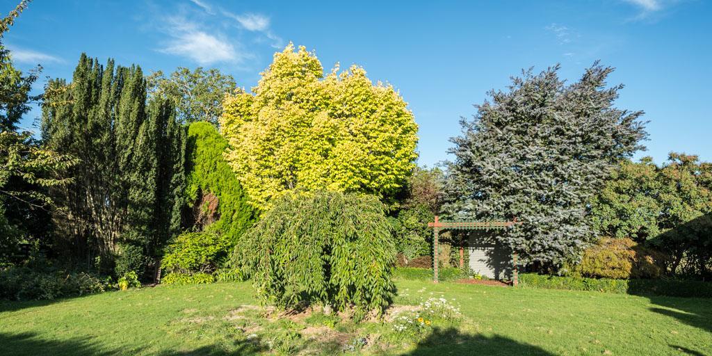 Mount Thomas Road B&B Rangiora Exterior foto